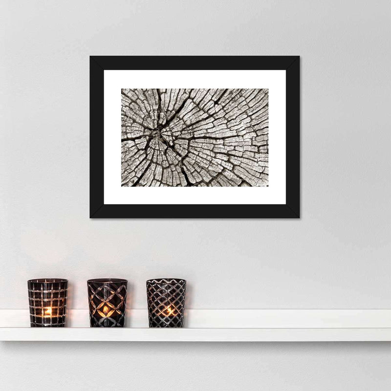 Tree Stump Wall Art