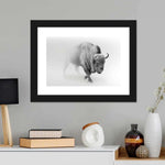 Wild Bison Wall Art