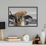 Pop African Leopard Wall Art