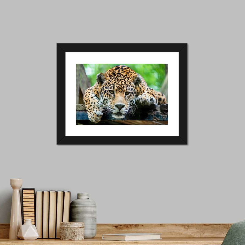 Lazy Leopard Wall Art