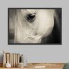 White Horse Eye Wall Art
