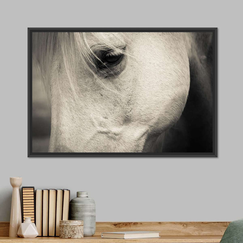 White Horse Eye Wall Art