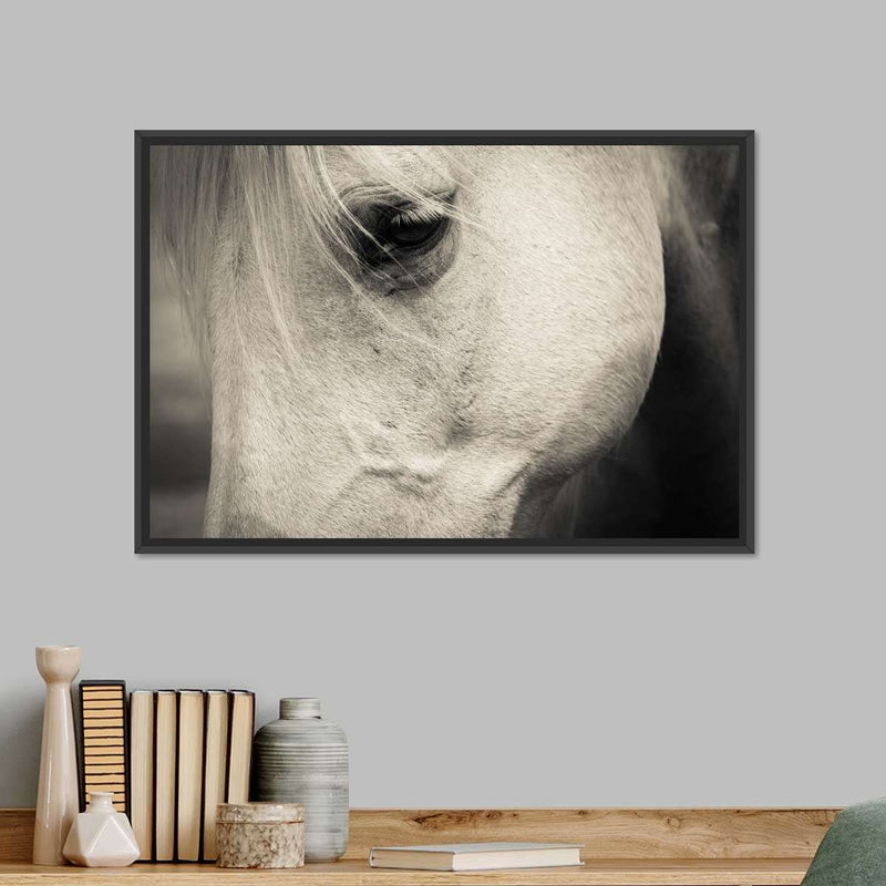 White Horse Eye Wall Art