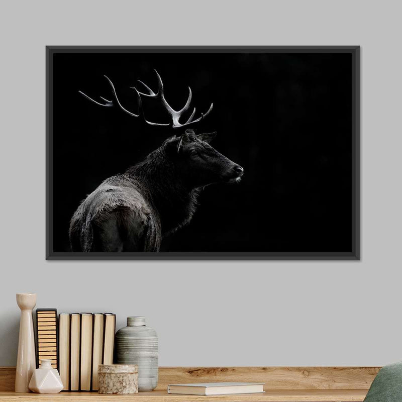 Monochrome Bull Elk Wall Art