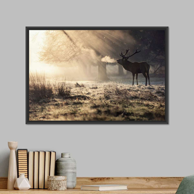 Wild Deer In Snow Wall Art