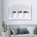 Three Succulents Wall Art