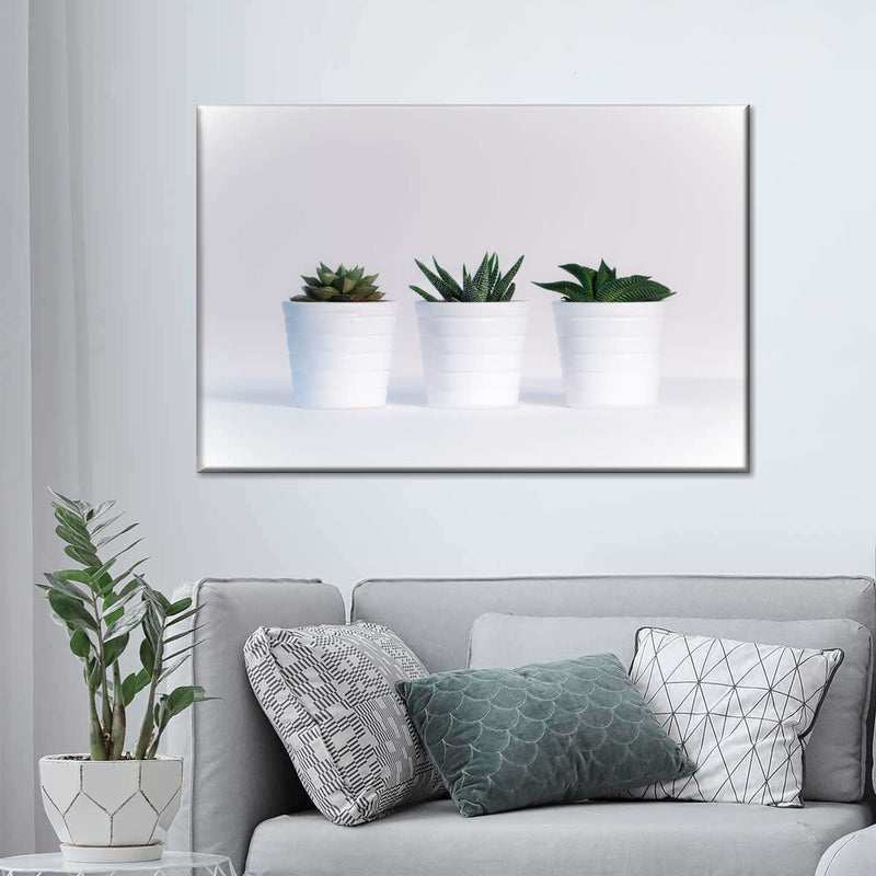 Three Succulents Wall Art