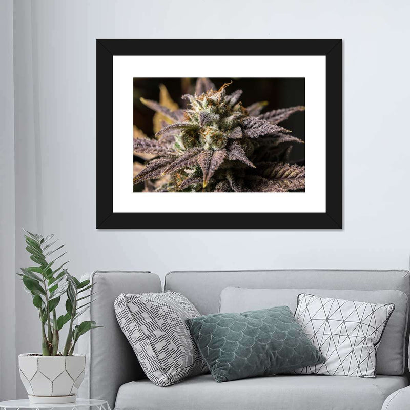 Marijuana In Winter Wall Art