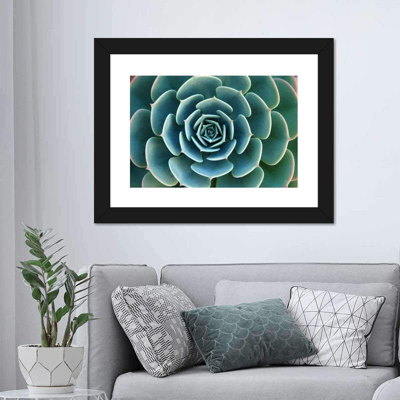 Live Succulent Wall Art