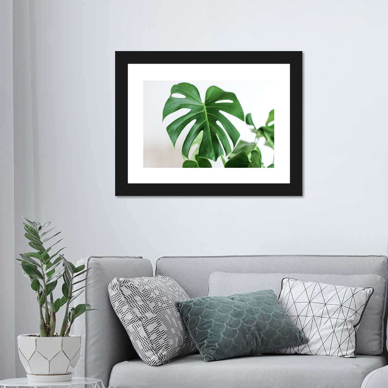 Monstera Leaf Wall Art