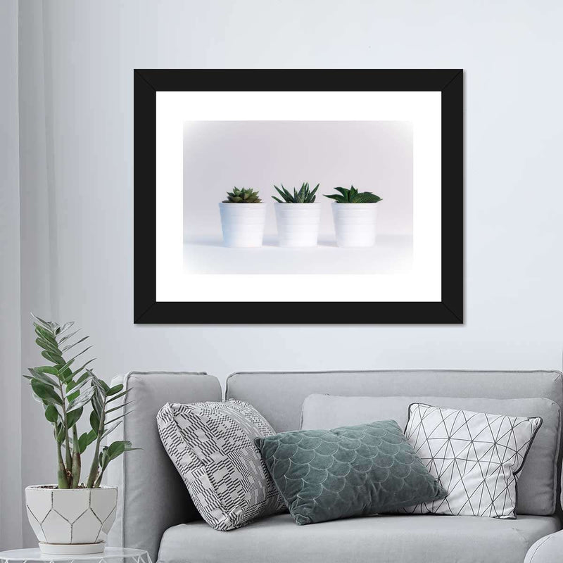 Three Succulents Wall Art