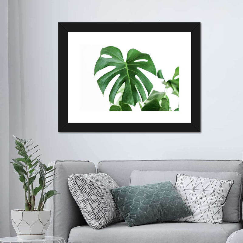 Monstera Leaf Wall Art