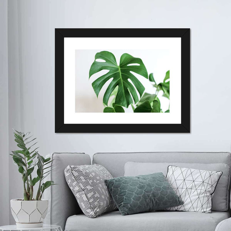 Monstera Leaf Wall Art