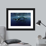 Humpback Whales Wall Art