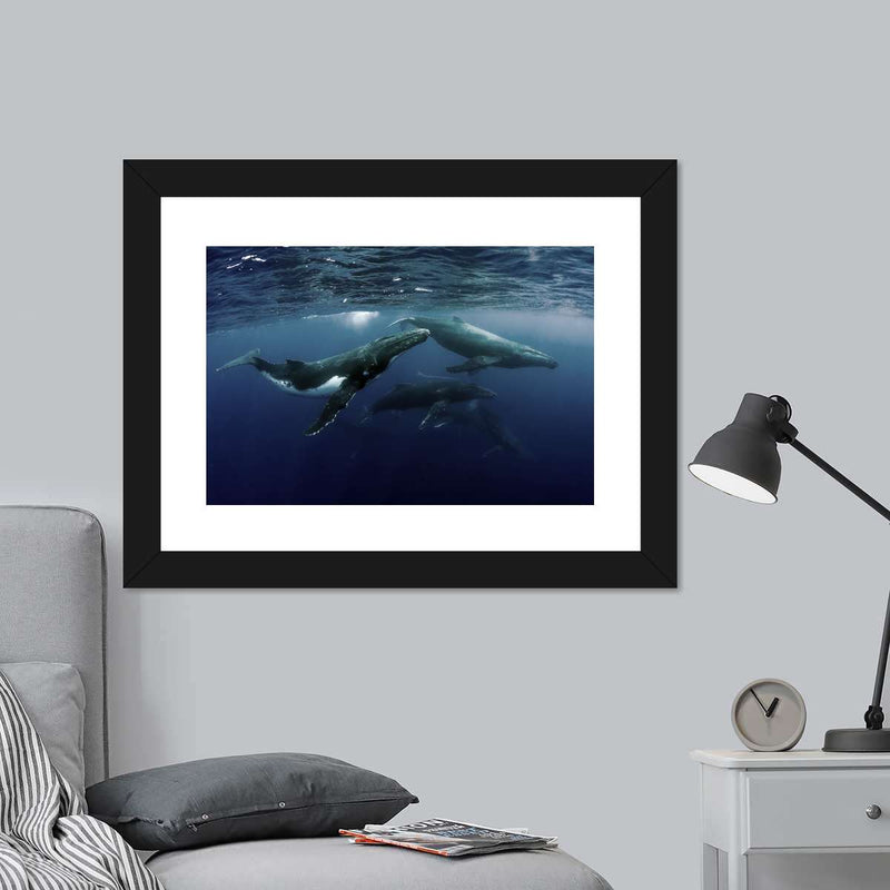 Humpback Whales Wall Art