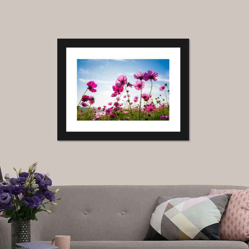 Wild Cosmos Flowers Wall Art