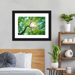 Tree Canopy Sunshine Wall Art