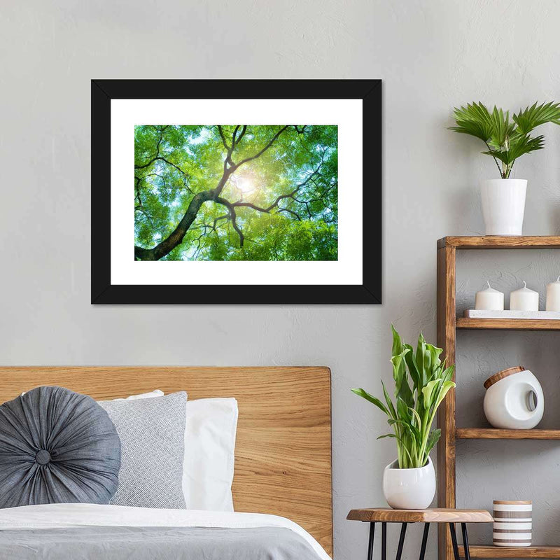 Tree Canopy Sunshine Wall Art