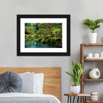 Zen Lakeside Bonsai Trees Wall Art