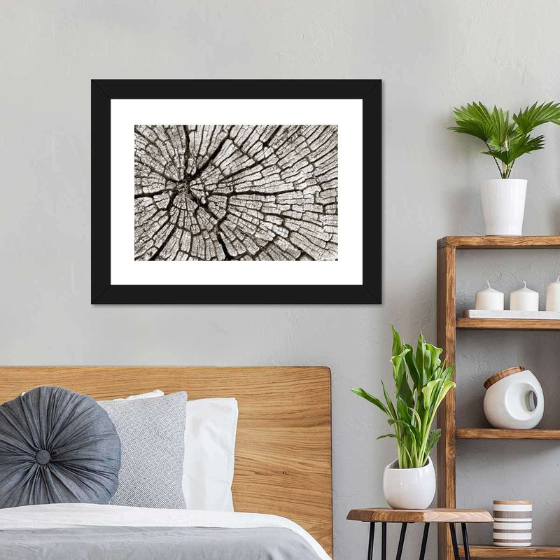 Tree Stump Wall Art