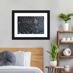 Spider Web Wall Art