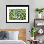 Spiral Succulent Wall Art