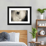White Horse Eye Wall Art