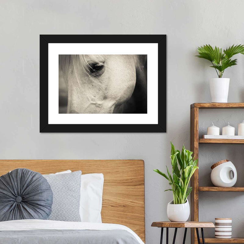 White Horse Eye Wall Art