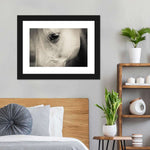 White Horse Eye Wall Art