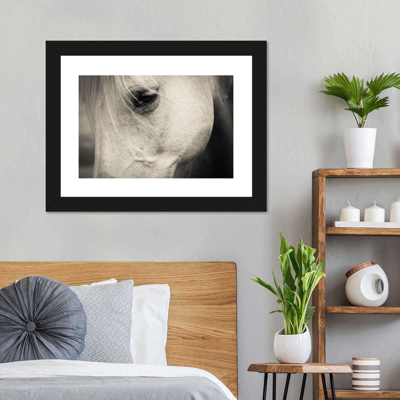 White Horse Eye Wall Art