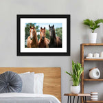 Young Horses Wall Art