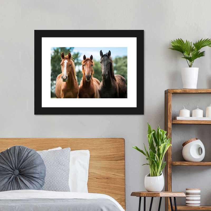 Young Horses Wall Art