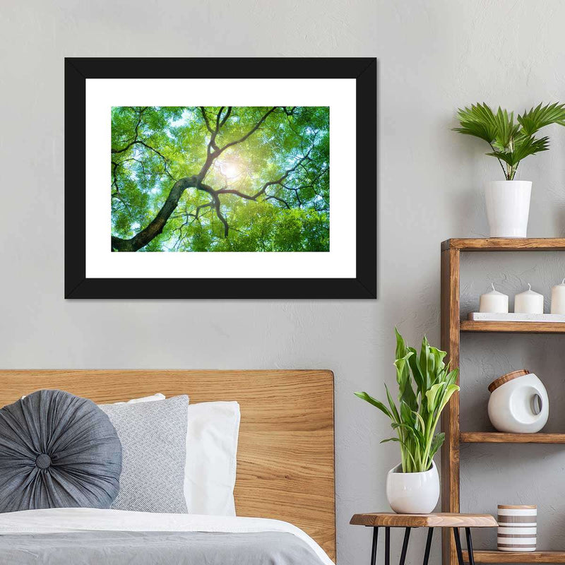 Tree Canopy Sunshine Wall Art