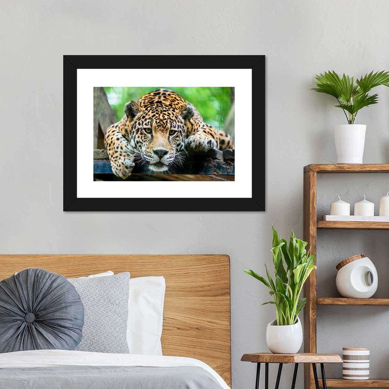 Lazy Leopard Wall Art