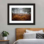 Richmond Park Deer Wall Art