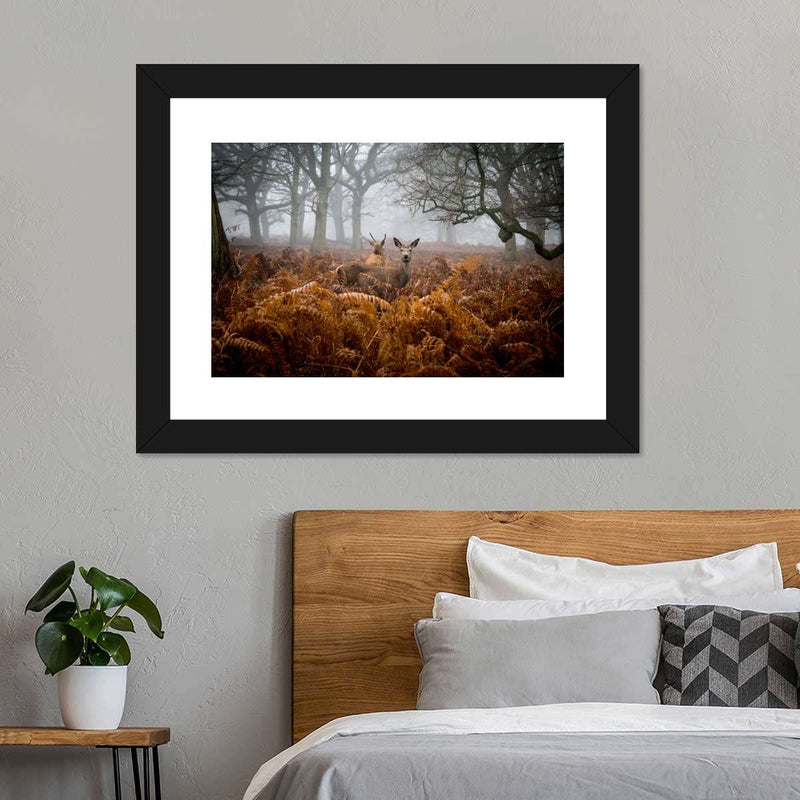 Richmond Park Deer Wall Art