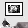 Monochromatic Rose Wall Art