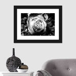 Monochromatic Rose Wall Art