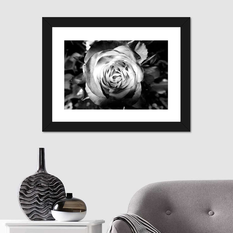 Monochromatic Rose Wall Art
