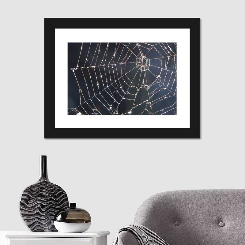 Spider Web Wall Art