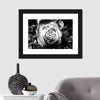 Monochromatic Rose Wall Art
