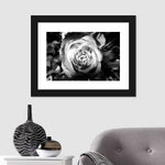 Monochromatic Rose Wall Art