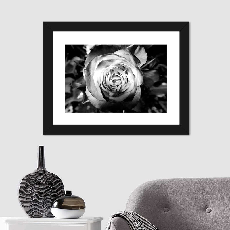Monochromatic Rose Wall Art