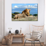 Roaring Safari Lion Wall Art