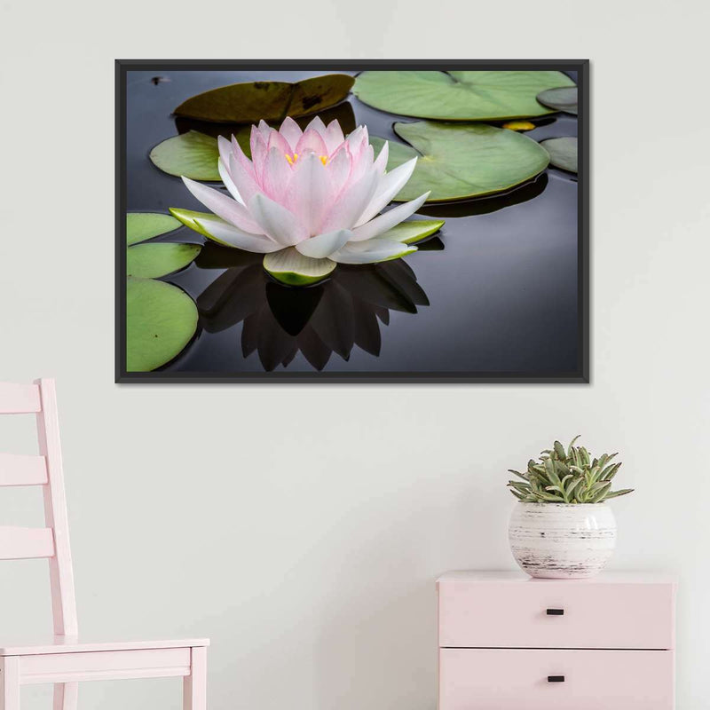 Pinkish White Lotus Wall Art