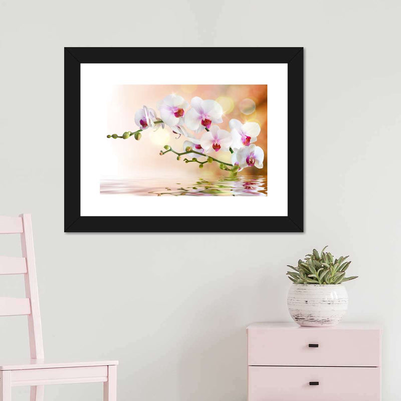 Orchid Flowers On Water Wall Art
