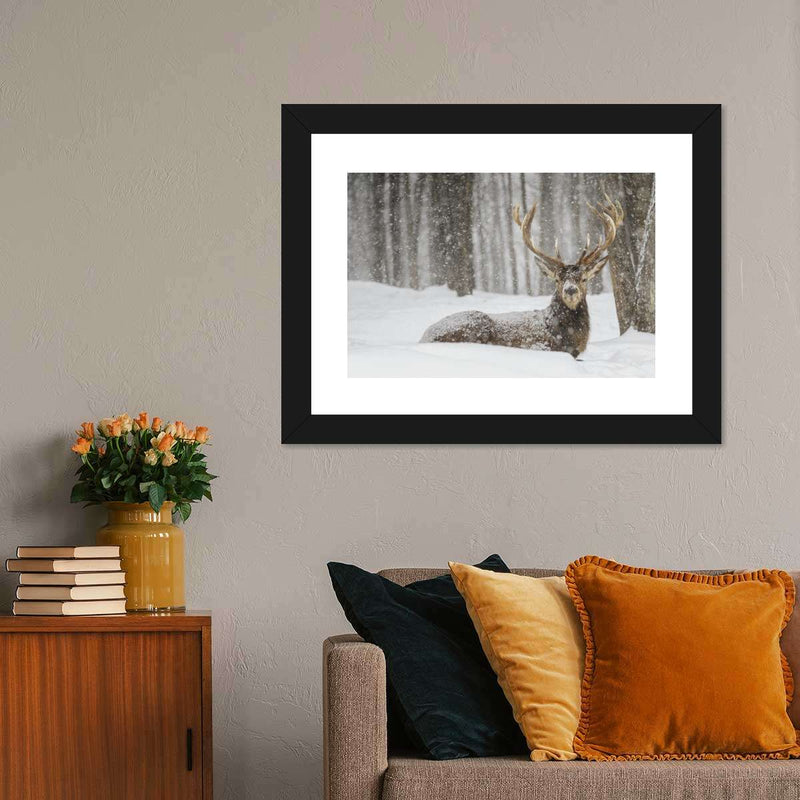 Snow Covered Elk Wall Art