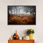 Richmond Park Deer Wall Art