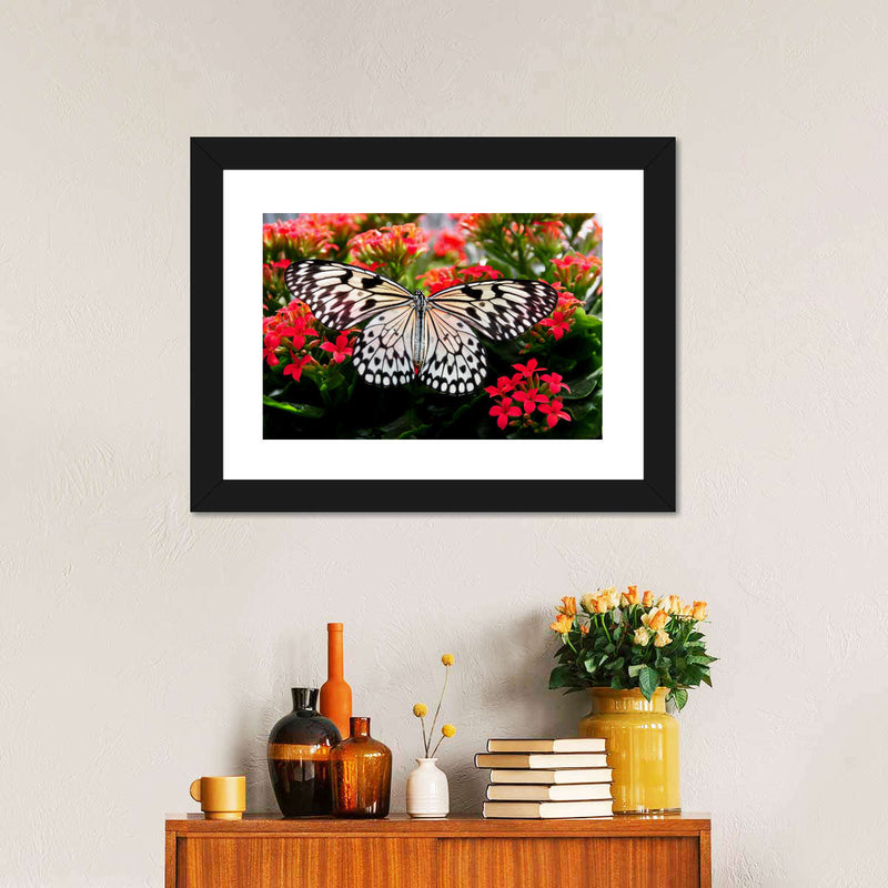 Pretty Butterfly Wall Art