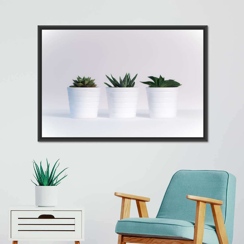Three Succulents Wall Art